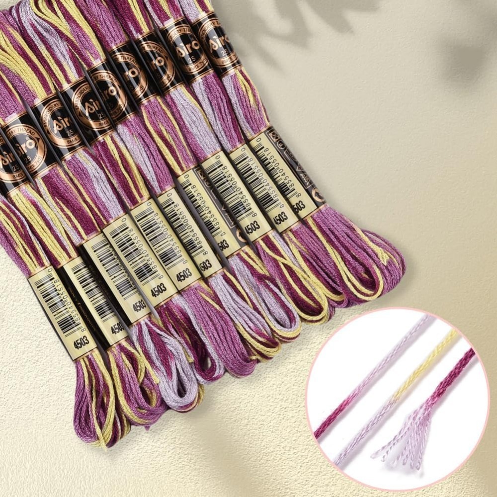 6 Strands Purple Variegated Em - Embroidery Threads recension och pris